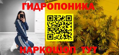 шишки Гусев