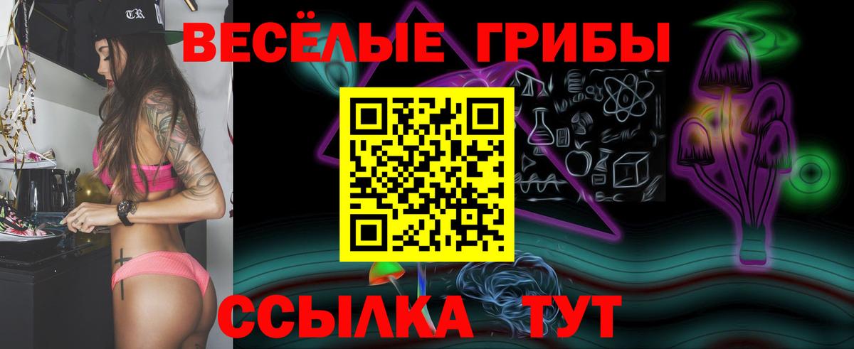Псилоцибиновые грибы мицелий  продажа наркотиков  Нижний Тагил  Вход с VPN 