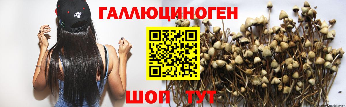 Галлюциногенные грибы ЛСД Нижний Тагил